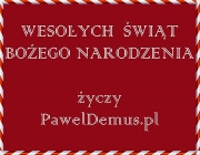 WESOŁYCH ŚWIĄT życzy Fotograf Bydgoszcz Paweł DEMUS. Grudzień 2023 rok